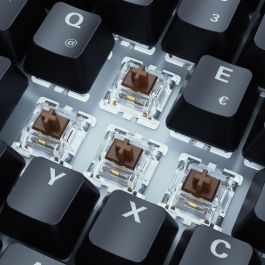 Sharkoon SKILLER SGK50 S3 Teclado Mecánico Gaming Gateron Brown Negro QWERTZ USB RGB