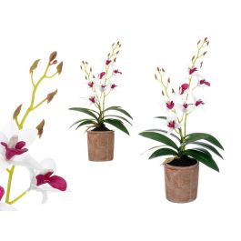 Maceta Terracota Flor Blanca Morada Ibergarden 10X47CM (6 Unidades) Precio: 37.6899996. SKU: B16K2W9GZR