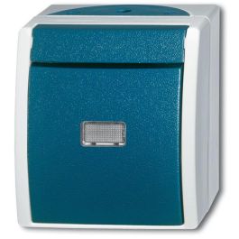 BUSCH-JAEGER 2621WGL-53 Wipptaster con iluminación ocean IP44 gris/azul verdoso Precio: 33.1177. SKU: B1ER8XTRWB