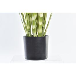 Planta DKD Home Decor Verde 30 x 90 x 30 cm (4 Unidades) Planta DKD Home Decor Verde 30 x 90 x 30 cm (4 Unidades)