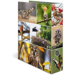 HERMA 19254 Archivador A4 Anillas D Cartón Heimatvögel Multicolor 7 cm – Aves Nativas