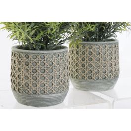 Planta DKD Home Decor Verde Verde Musgo 12 x 25 x 12 cm (12 Unidades) Planta DKD Home Decor Verde Verde Musgo 12 x 25 x 12 cm (12 Unidades)