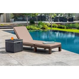 ALLIBERT Tumbona Daytona de Resina Trenzada con Cojín, Respaldo 4 Posiciones y Diseño Elegante - Marrón ALLIBERT Tumbona Daytona de Resina Trenzada con Cojín, Respaldo 4 Posiciones y Diseño Elegante - Marrón
