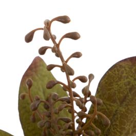 Rama Ficus Verde Artificial Decoración 12 X 10 X 38 cm