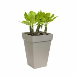 Elho Bac Cuadrado para Plantas de 30 cm de Alto con Depósito de Agua Integrado - Gris Carbón Precio: 34.50000037. SKU: B1B29ATNZ2