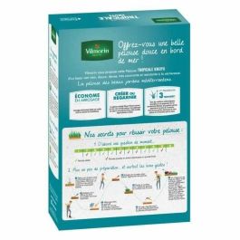 Vilmorin VIL3182670261374 Semillas de Hierbas Tropicales Kikuyu - 500 g