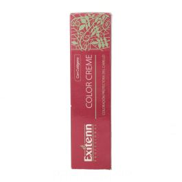 Exitenn Color Creme 60 ml Color 12/0.22 Precio: 1.88999943. SKU: S4258535