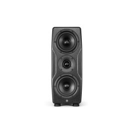 IKMULTIMED Precision Mtm Mkii - Monitor de estudio profesional negro (Unidad) 175W RMS, Calibración ARC