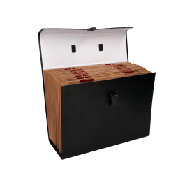 Liderpapel Maletín con fuelle y asa, cartón forrado, 19 departamentos, 255x390x120 mm, colores surtidos