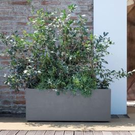 Jardinera Muret - DEROMA - Millennium R - Gris ceniza - Con reserva de agua - Ruedas - 99 cm