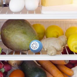 Cook Concept Juego De 2 Bolas Antiolor Nevera Plástico d.5 cm Colores Surtidos