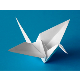 Liderpapel Cartulina Blanco 50x65 cm 180g/m2 para Dibujo y Manualidades