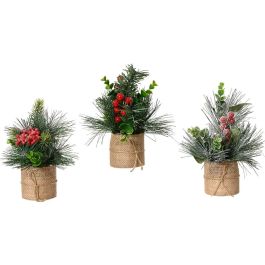 Everlands Planta de Navidad Artificial Decorativa Pequeña para Interior Modelos Variados 20 x 15 cm Precio: 4.49999968. SKU: B19KV3ET9S