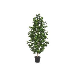 DKD Home Decor Árbol Tropical Topiario Artificial de PE y Madera Verde Marrón 150 cm Alto - Pack de 2 Unidades Precio: 209.50000016. SKU: B13EXA3VBW