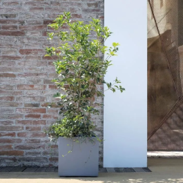 Deroma Maceta Cubo Autorriego 9H81ZSZ217 Gris Ceniza 39 cm