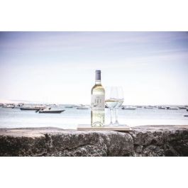 Dourthe N ° 1 Burdeos blancos - Burdeos White Wine