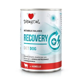 Disugual Diet dog recovery cordero 6x400gr Precio: 15.4090904. SKU: B1A995P6K7
