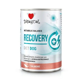 Disugual Diet Dog Recovery Salmon 6x400 gr Precio: 18.1363633. SKU: B1KFA55KZF