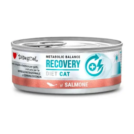 Disugual Diet Cat Recovery Salmon 12x85 gr Precio: 17.9500002. SKU: B1D5SAEJYT