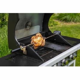 Fieldmann Asador para Barbacoa FZG 9031