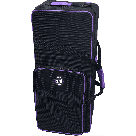 SML Saxofón Alto A420-II Dorado Lacado