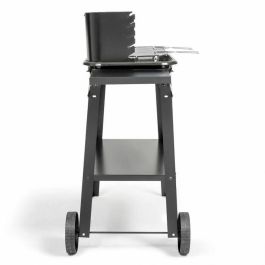 Livoo DOC328 Barbacoa de carbón de Acero inoxidable Livoo DOC328 Barbacoa de carbón de Acero inoxidable