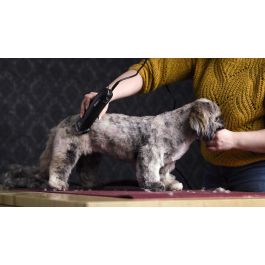 Cortapelos para mascotas Moser 45 W Negro Plástico Cortapelos para mascotas Moser 45 W Negro Plástico