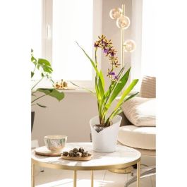 Lechuza LEC4008789139603 Maceta ORCHIDEA ALL-IN-ONE Blanco mate