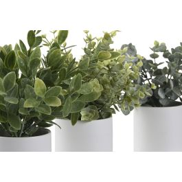 Planta DKD Home Decor Verde 15 x 20 x 15 cm (6 Unidades) Planta DKD Home Decor Verde 15 x 20 x 15 cm (6 Unidades)