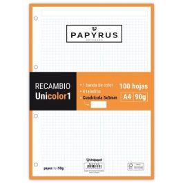 Recambio Papyrus Unicolor1 A4 100H 90G 4 Taladros Cuad.5X5 Naranja (Set de 24) Precio: 81.50000012. SKU: B1BXF7C46S