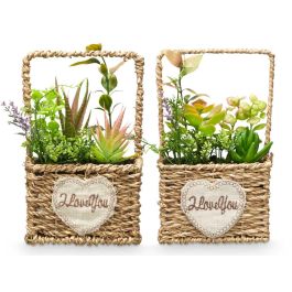 Maceta Asa Surtidos Ibergarden 12X21CM (12 Unidades) Maceta Asa Surtidos Ibergarden 12X21CM (12 Unidades)