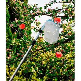Recogedor de frutas telescopico extensible de 130-240cm grouw Recogedor de frutas telescopico extensible de 130-240cm grouw
