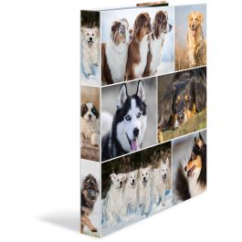 HERMA 19358 Ringbuch A4 Hunde, Carpeta de Anillas 4D, Cartón, Multicolor Precio: 19.49999942. SKU: B143ZQLS68