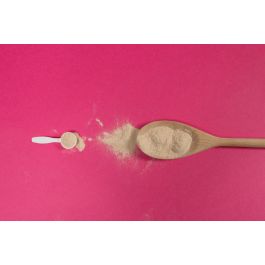 Supplepets Renal Protector 100 gr Alimento Complementario para la Función Renal España Precio: 25.586. SKU: B185ABXMXP