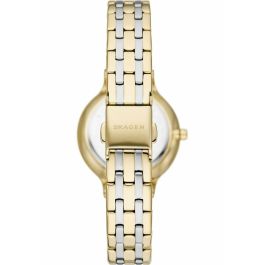 Reloj Mujer Skagen SKW3132 Reloj Mujer Skagen SKW3132