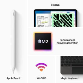 Apple - iPad Pro (2022) - 11 - Wifi - 2 TB - Sideral Gray