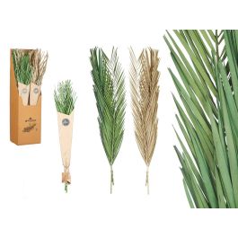Ramillete Hojas Palmera Surt Verde y Natural Giftdecor 20x100x4 cm (20 Unidades) Precio: 44.79000009. SKU: B1A83G5VYJ