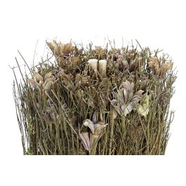 DKD Home Decor Bouquet Shabby Natural Flor Seca 12 x 30 x 12 cm (12 Unidades)