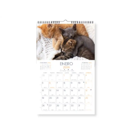 Liderpapel Calendario Pared Imágenes Gatos 2026 para Escribir 25x40 cm Papel 157 gr Espiral