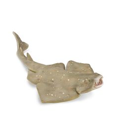 Collecta M-88999 Tiburón Ángel - Figura de Colección Réplica a Escala, Pintada a Mano, Materiales de Alta Calidad, Juguete Educativo para Niños +3 Años Precio: 5.9532. SKU: B1JWV4QK3Z