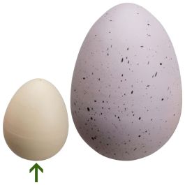 Jeux 2 momes Huevo Mágico Dinosaurio Seche Pleure Colección Sorpresa Mayor 3 Años