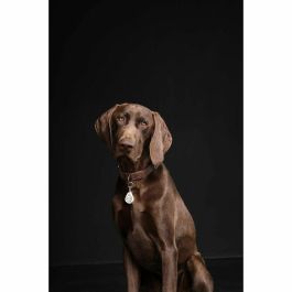 Tickless AUC5999566451010 Repelente de garrapatas y pulgas para mascotas a pilas - Beige