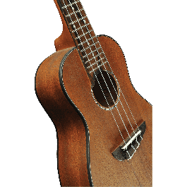 Ukelele Duo Concerto