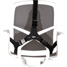 Fellowes Respaldo Ergonómico Profesional con Memory Foam de 3 Secciones, Adaptable a la Curvatura de la Espalda, Color Negro