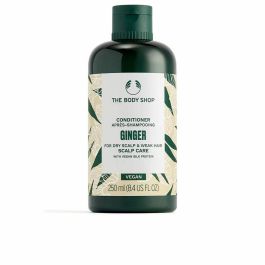 The Body Shop GINGER Conditioner Hidratante y Nutritivo con Aceite de Jengibre, 250 ml Precio: 7.49999987. SKU: B1AMSEBHLD