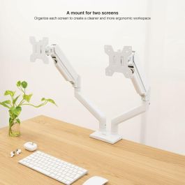 TooQ DB1434TNR-W Soporte de Escritorio para Monitor 13"-34" (2 pantallas) Pinza/Atornillado 10kg Blanco