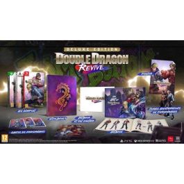 Microids Double Dragon Revive Edición Deluxe Nintendo Switch Juego