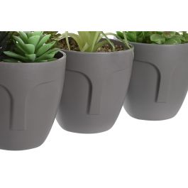 DKD Home Decor Planta Gris Verde 11 x 15 x 11 cm (3 Unidades)