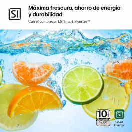 Frigorífico combinado LG GTBV22PYGKD 145 Acero
