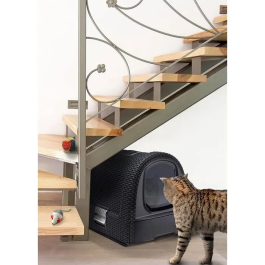 Arenero para Gatos Curver Antracita 51 x 38,5 x 39,5 cm Plástico (Plástico)